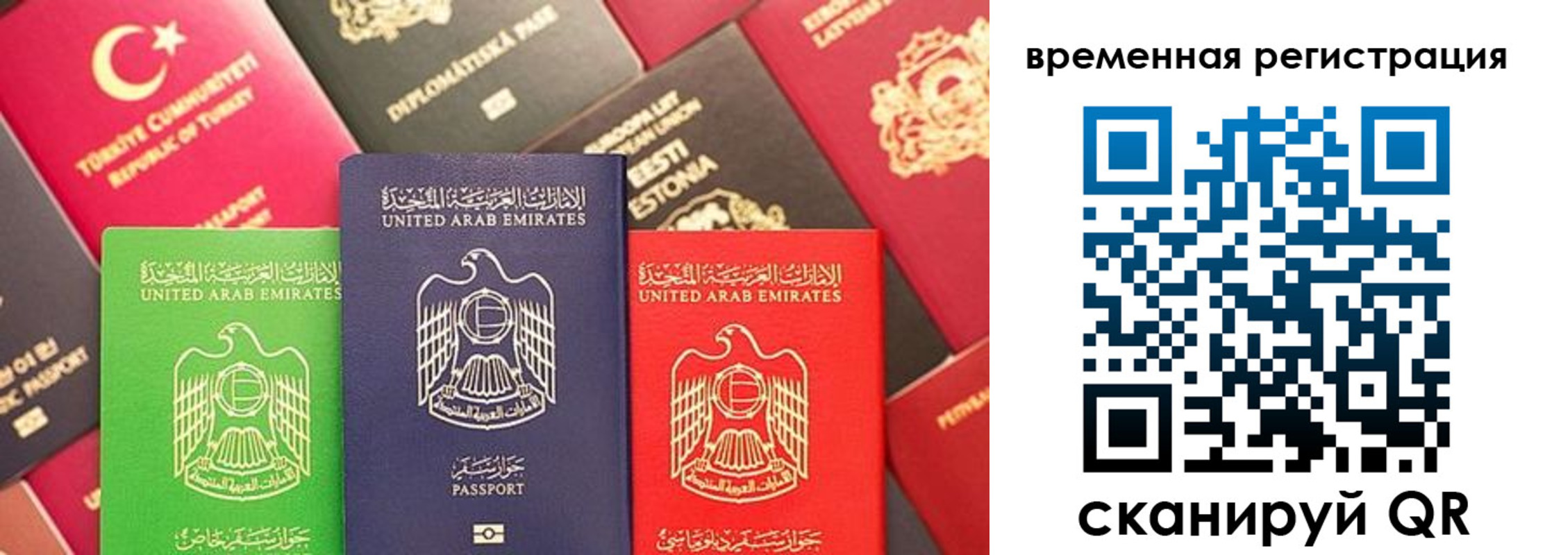 временная регистрация гарантия в Агрызе